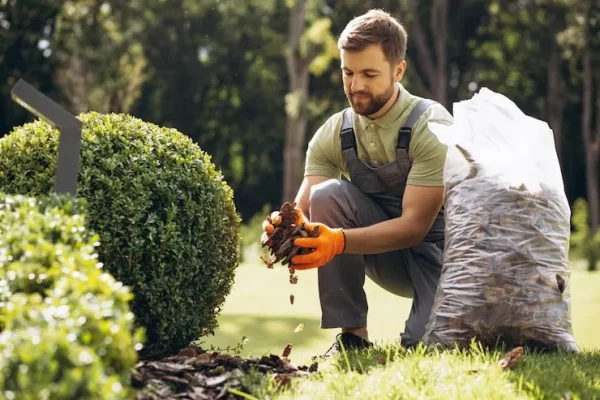 gardner-holding-package-tree-bark-cover-ground_732190-2435